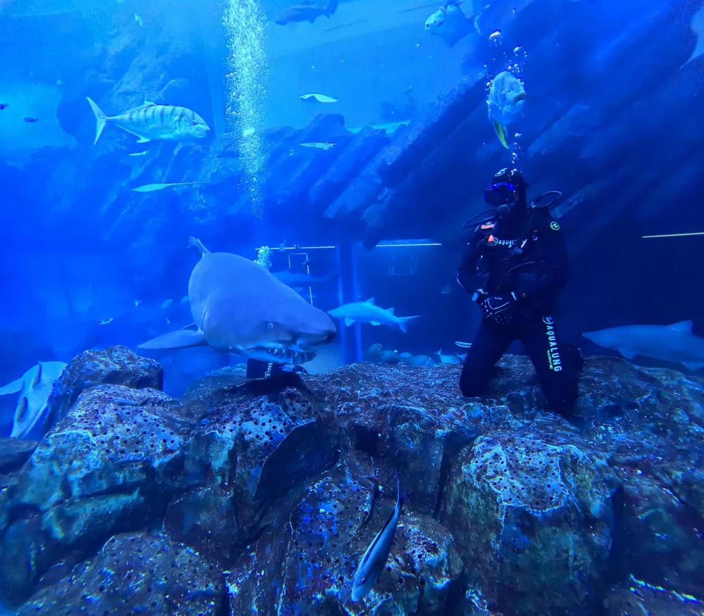 GIF diunggah dening Kanen