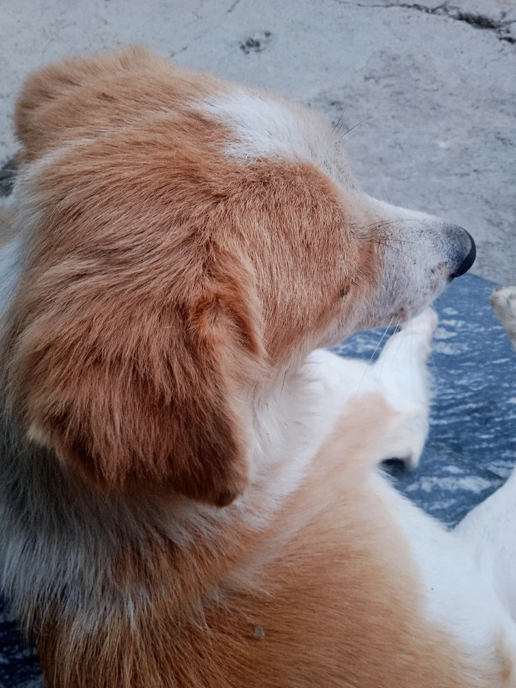 GIF uploaded by Shashank