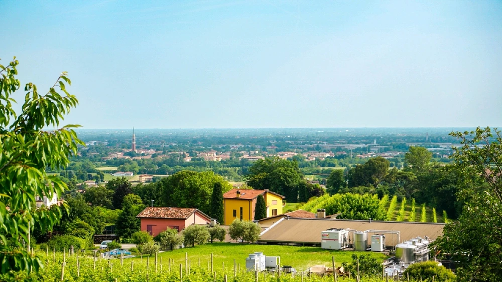 GIF uploaded by Alex