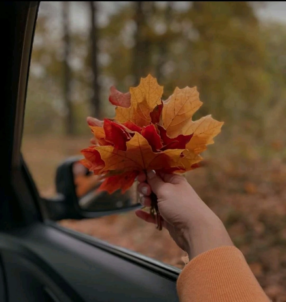 GIF ajouté par Saffiya