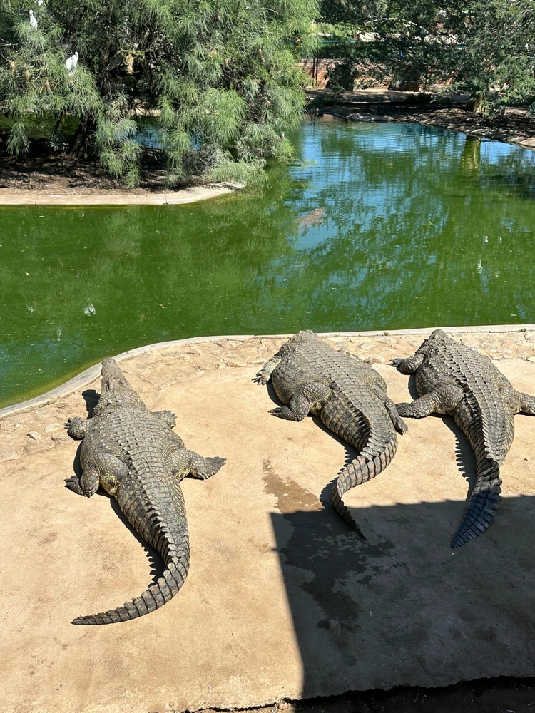 Image uploaded by Qew