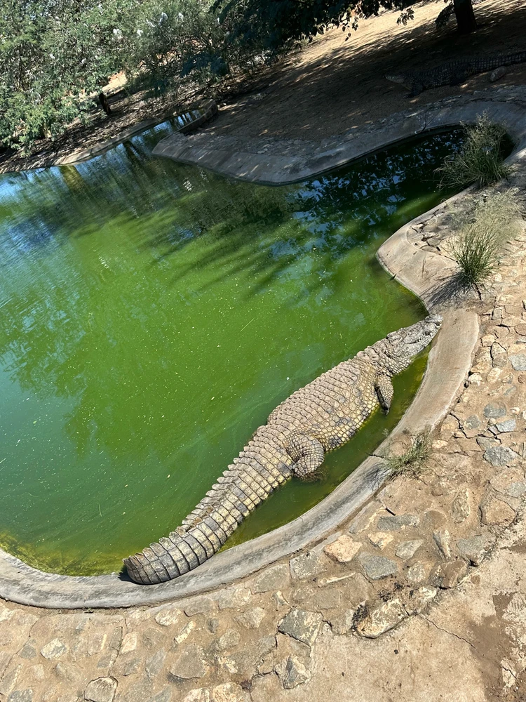 Image uploaded by Qew