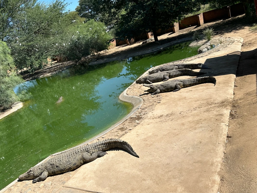 Image uploaded by Qew