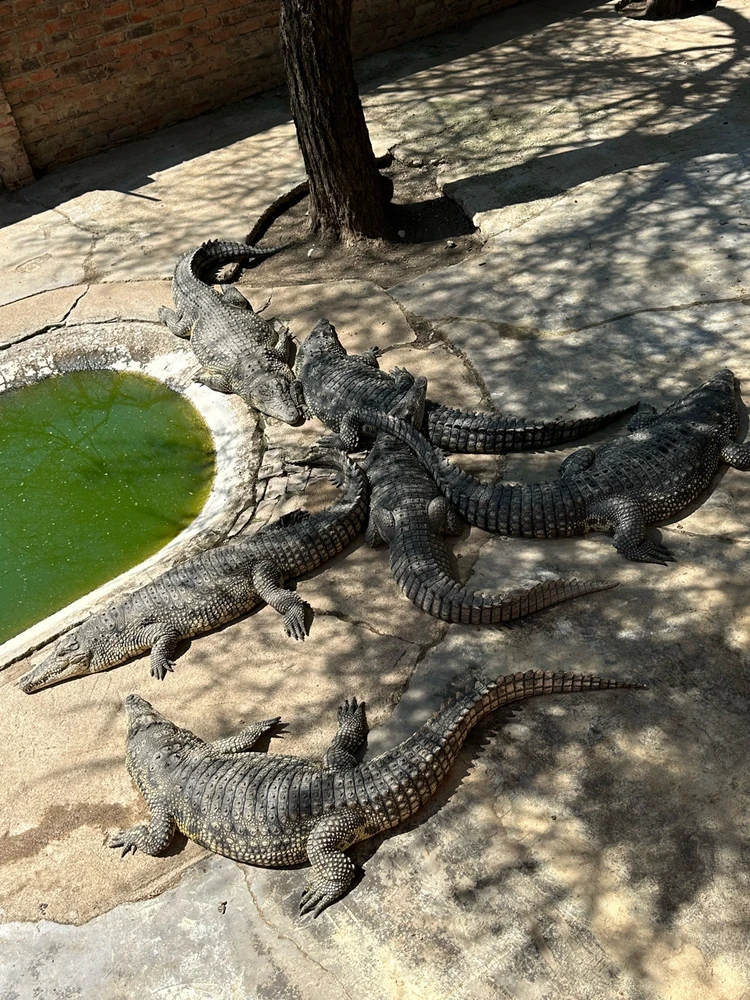 Image uploaded by Qew