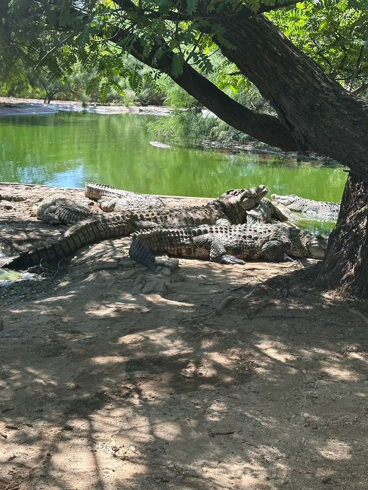 Image uploaded by Qew