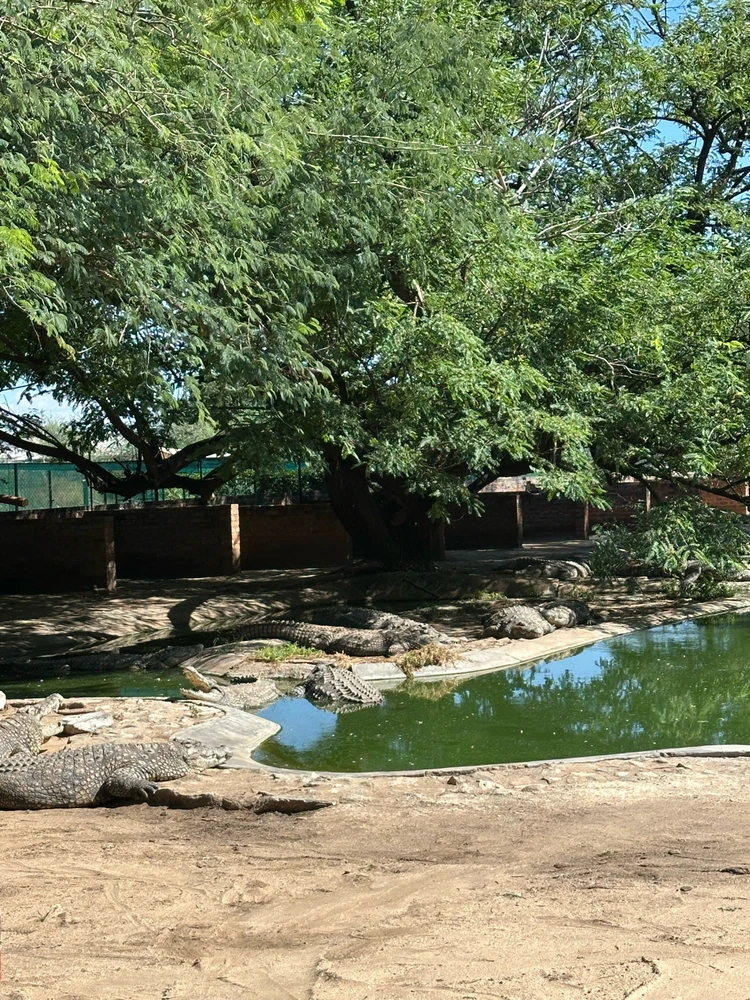 Image uploaded by Qew