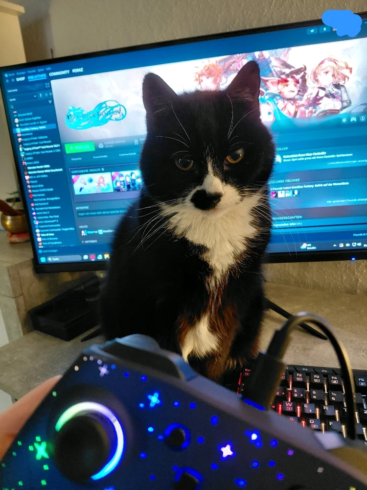 GIF hochgeladen von Charly