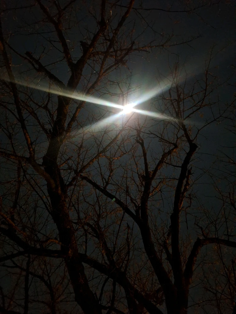 GIF uploaded by Cory