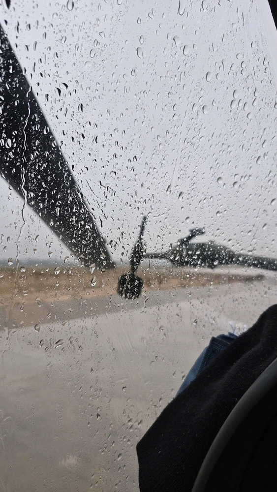 GIF uploaded by Chameleon