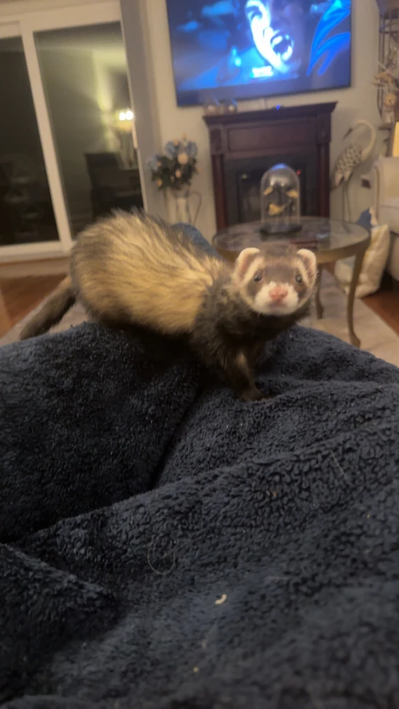 GIF uploaded by Bobby