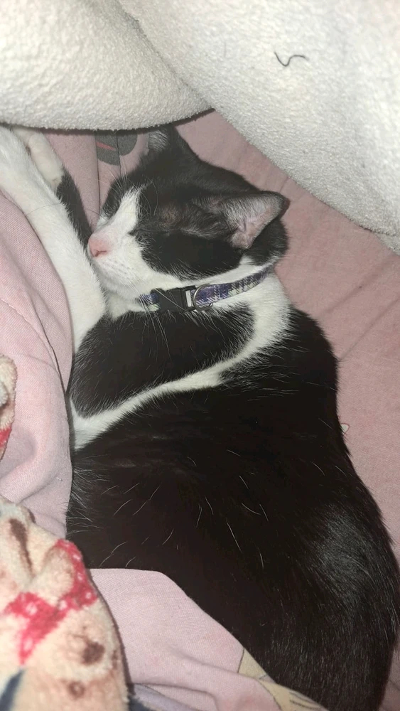 Imagen subida por Gabriel