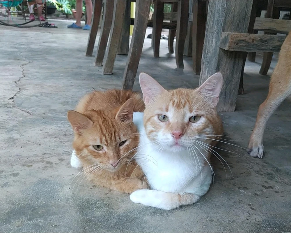 Imagen subida por Gabriel