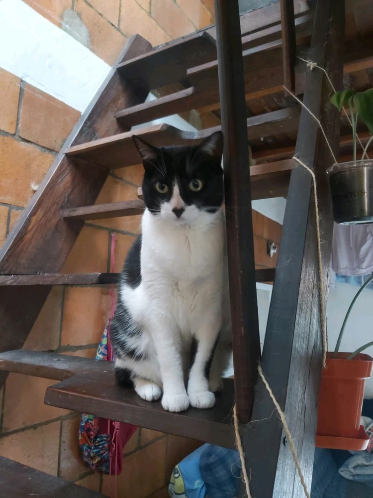 Imagen subida por Gabriel