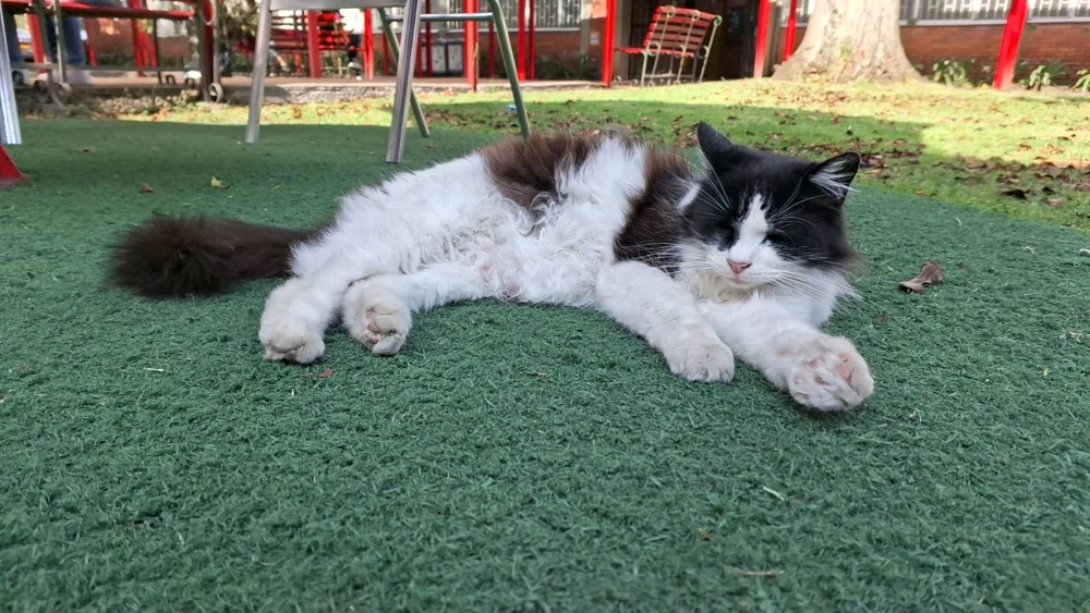 Imagen subida por Gabriel