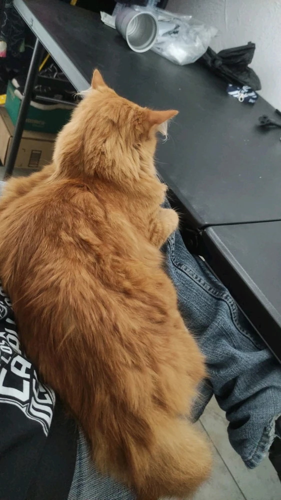 Imagen subida por Gabriel