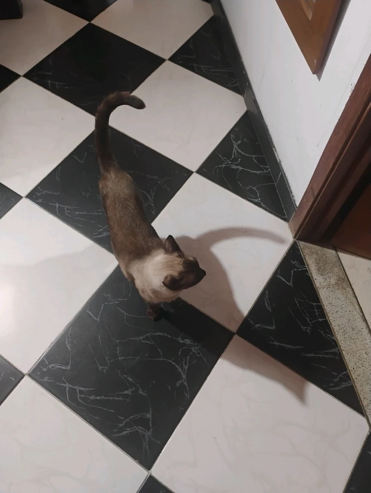 Imagen subida por Gabriel