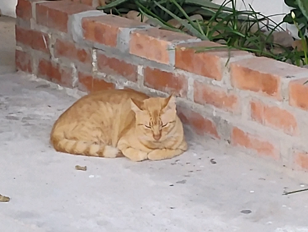 Imagen subida por Gabriel