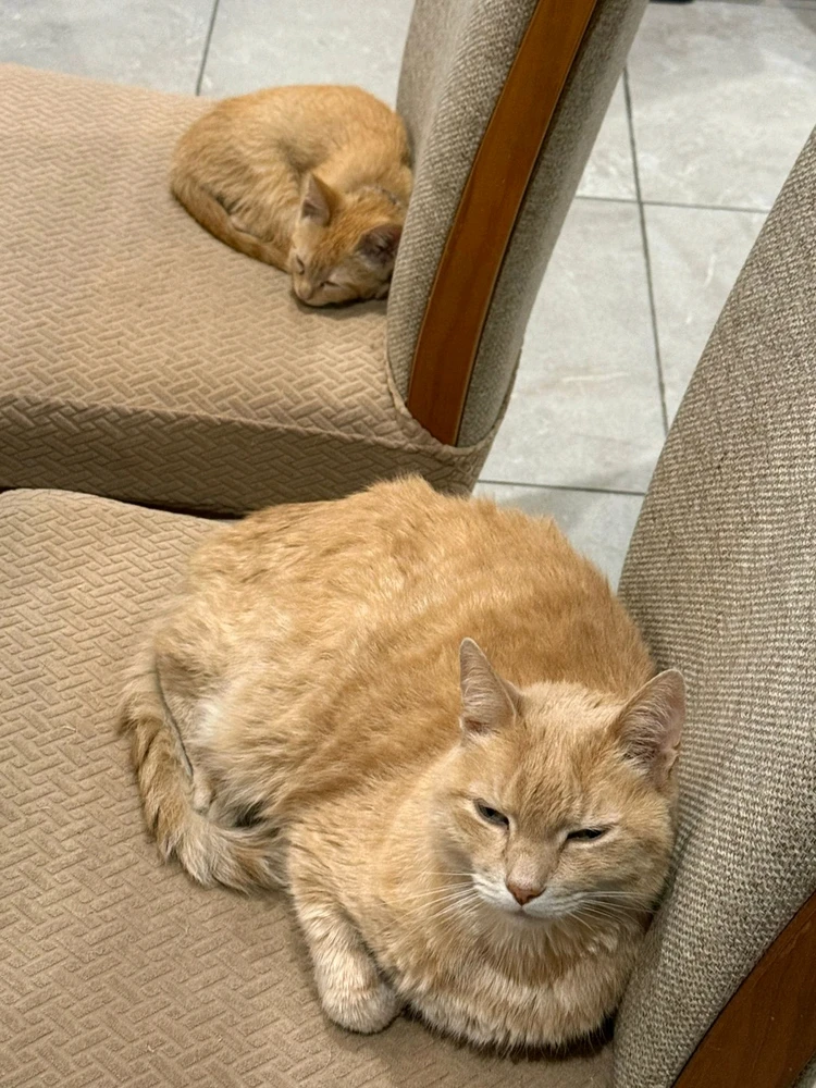 Imagen subida por Gabriel