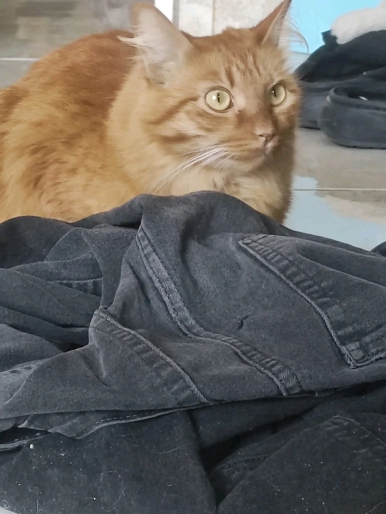 Imagen subida por Gabriel