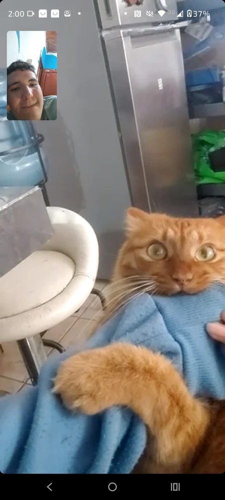 Imagen subida por Gabriel