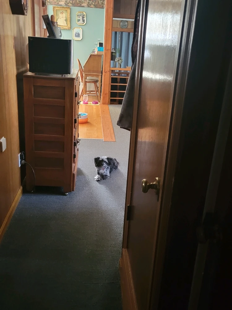 GIF uploaded by Zach