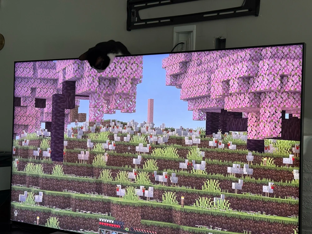 GIF diunggah dening Greg