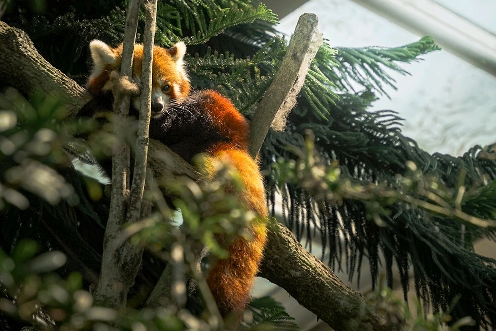 GIF uploaded by Hao Wen