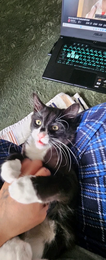 Image uploaded by Helios