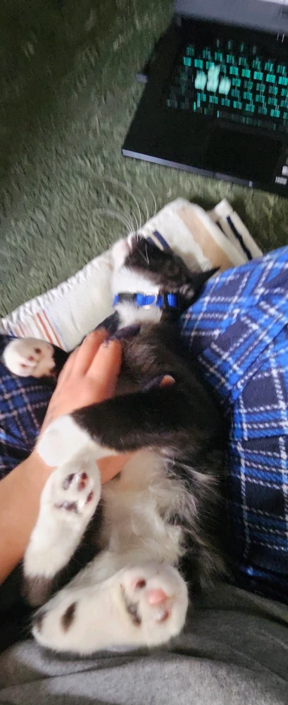 Image uploaded by Helios