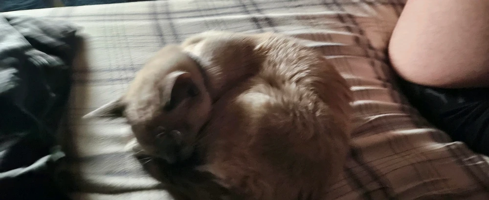 Image uploaded by Helios