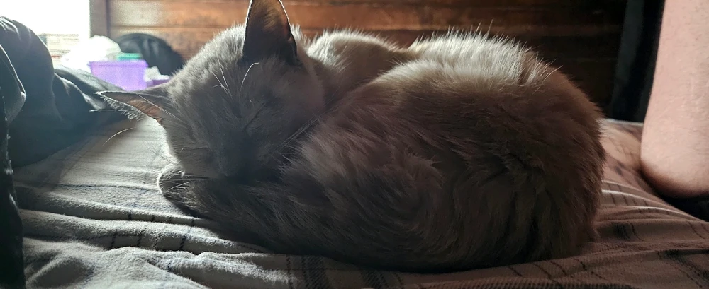 Image uploaded by Helios