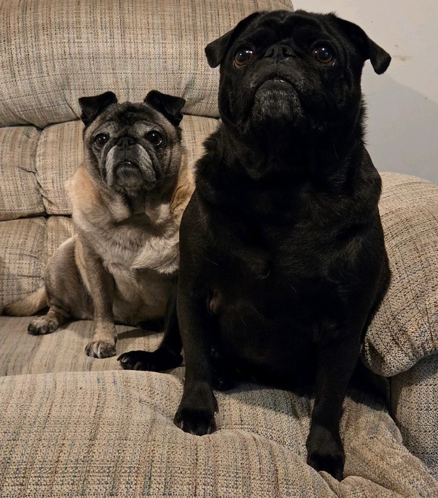 Image uploaded by Denis