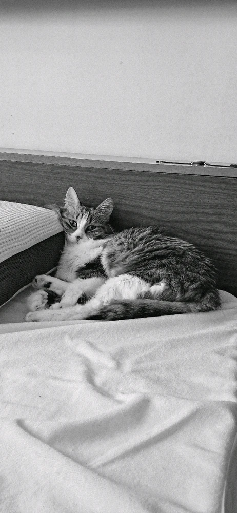 GIF uploaded by Denis