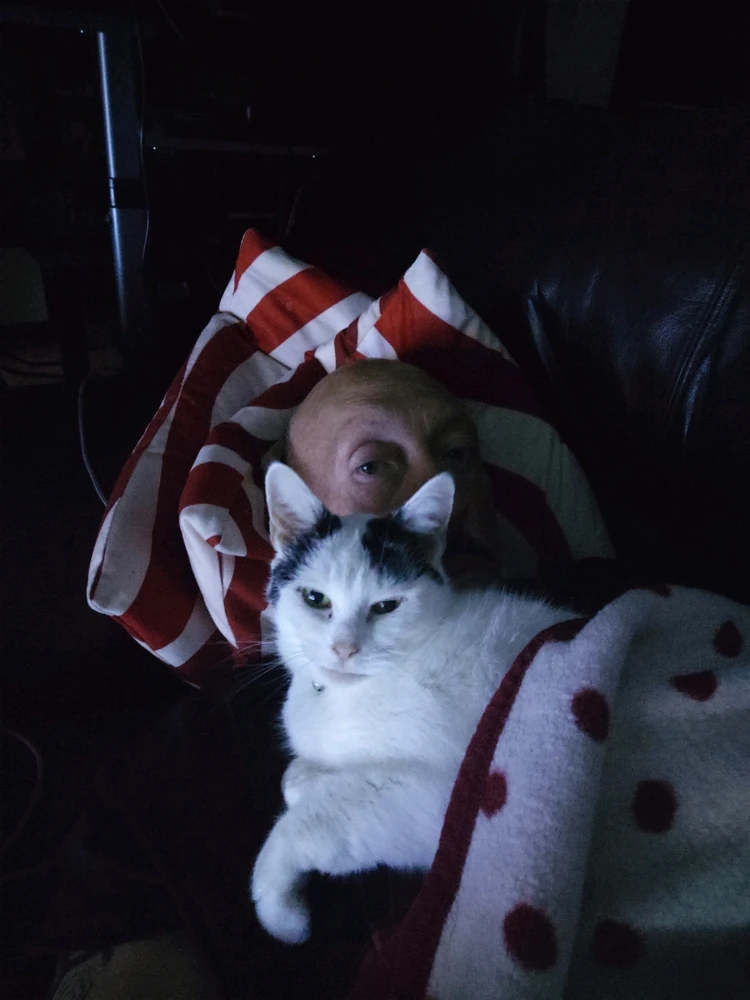 GIF uploaded by Brent