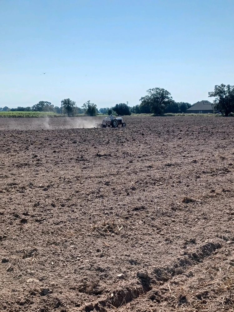 Image uploaded by Bruce elliott