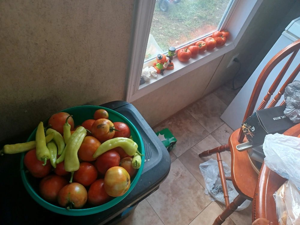 Image uploaded by Bruce elliott