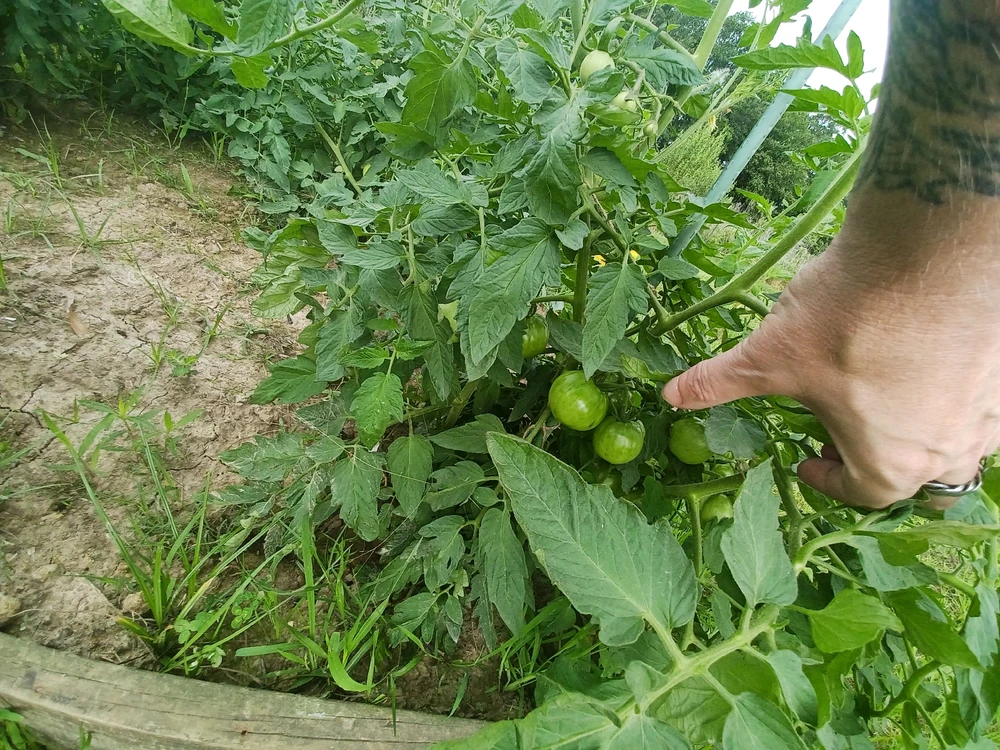 Image uploaded by Bruce elliott