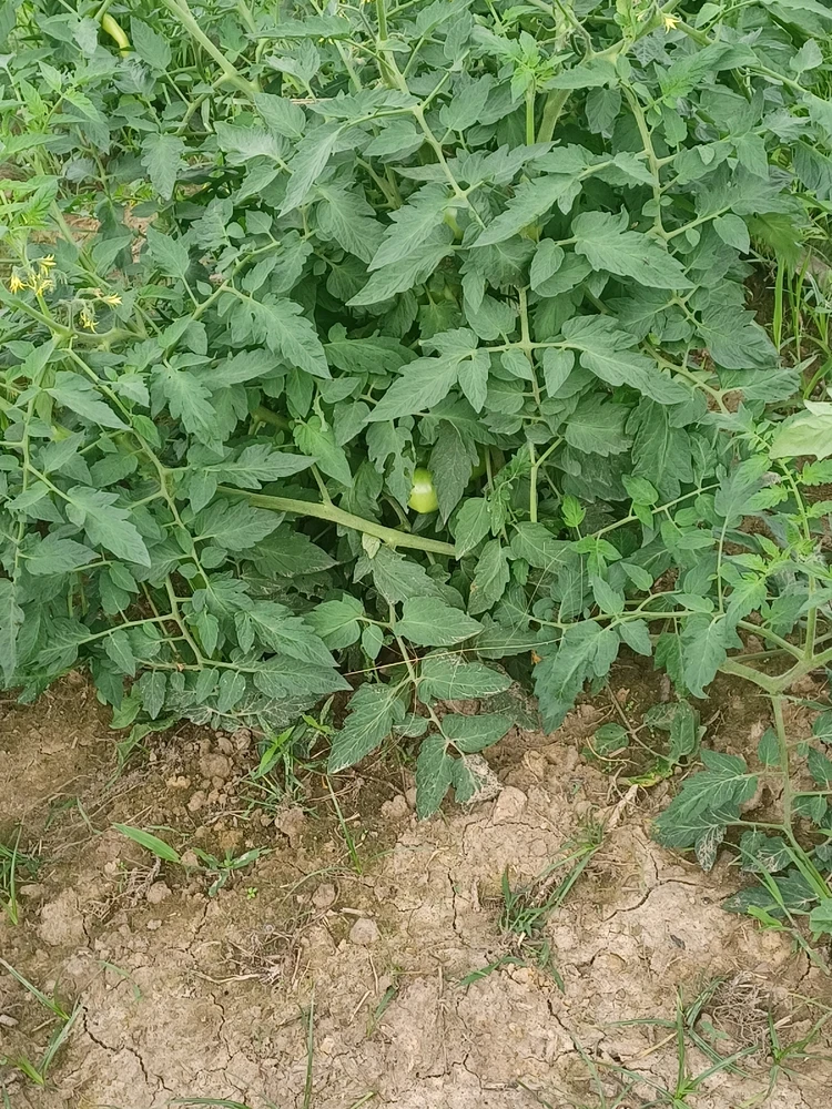 Image uploaded by Bruce elliott