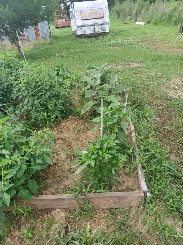 Image uploaded by Bruce elliott