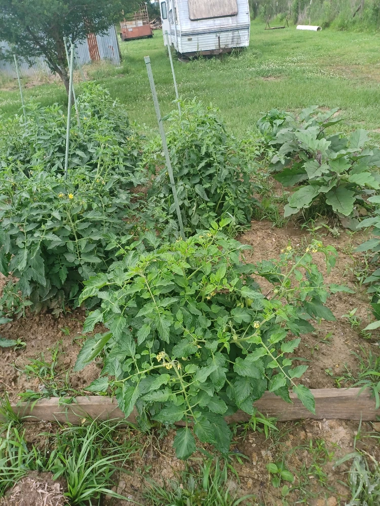 Image uploaded by Bruce elliott