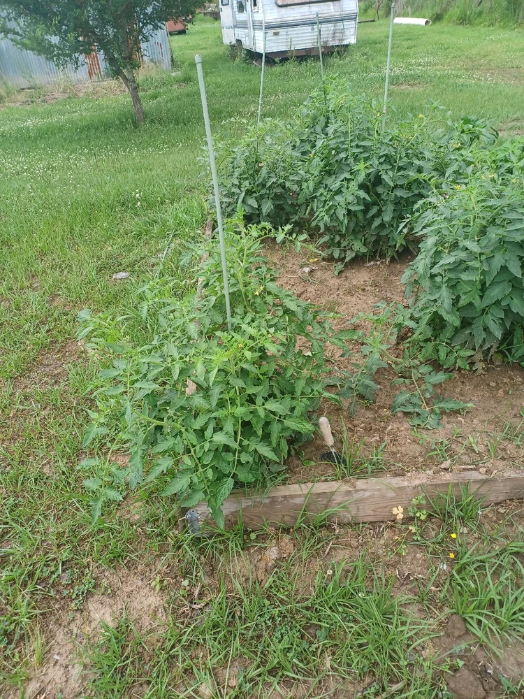 Image uploaded by Bruce elliott