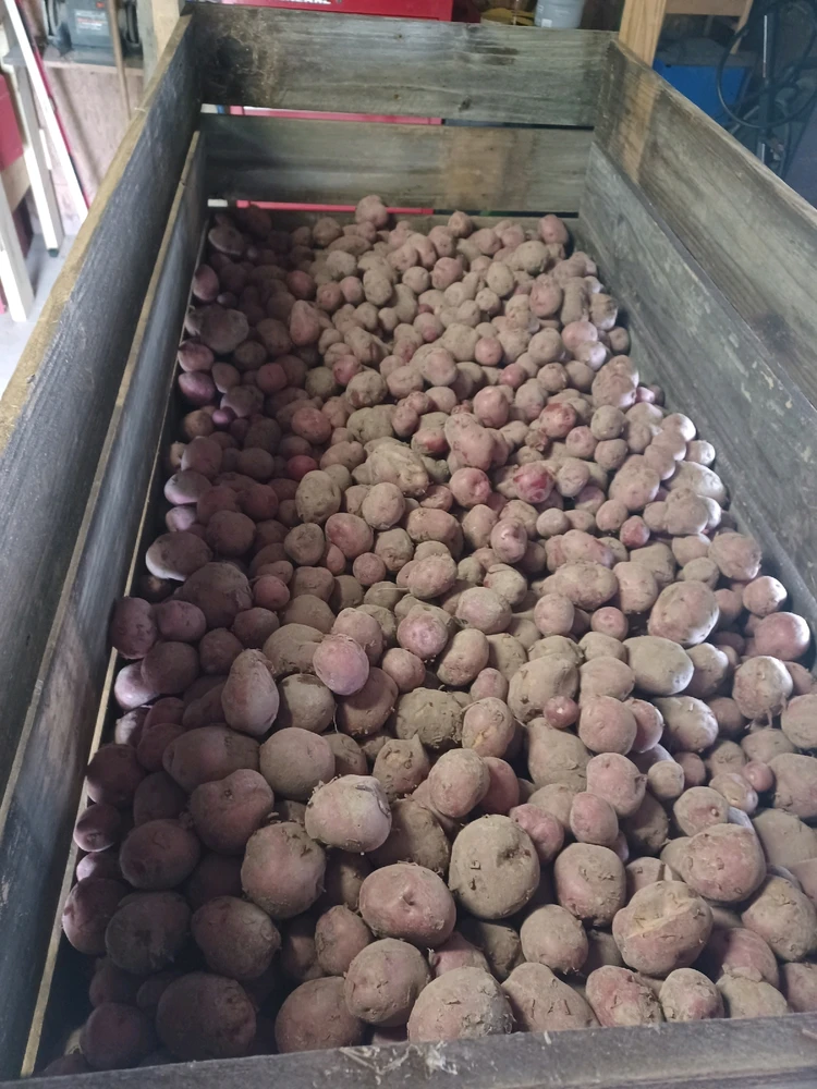 Image uploaded by Bruce elliott