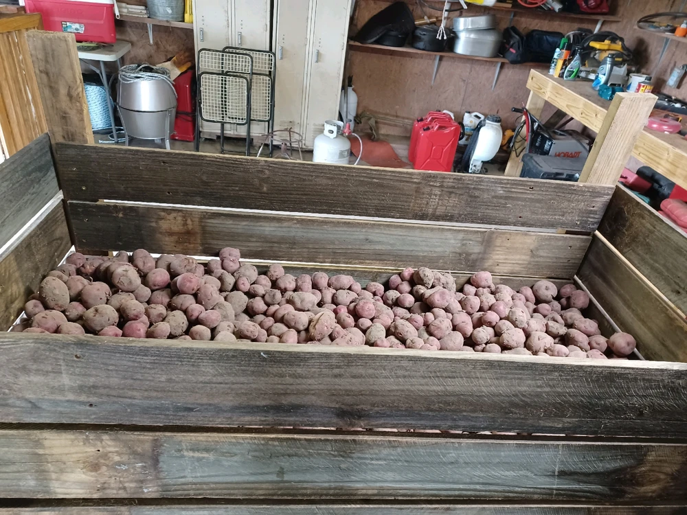 Image uploaded by Bruce elliott