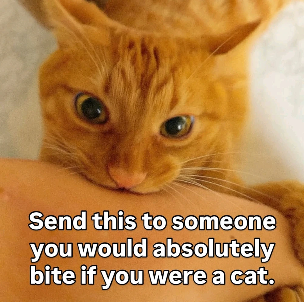 GIF uploaded by Sonny