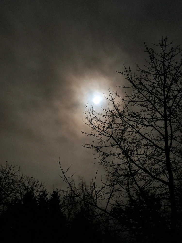 GIF nahrál ©️Iva 🦉