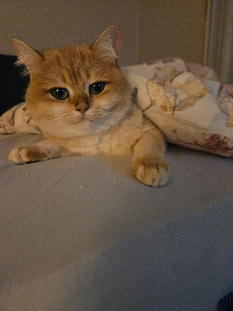 GIF hochgeladen von Edi