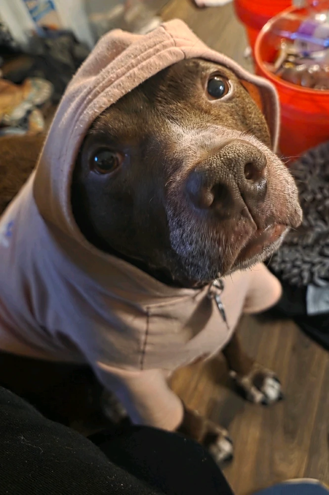 GIF uploaded by Louie