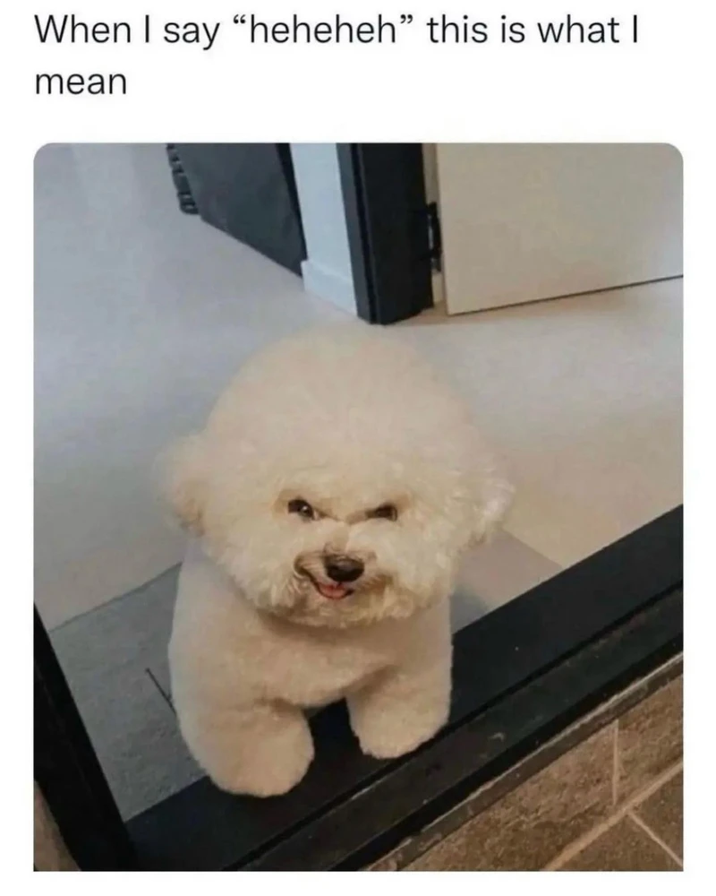 GIF hochgeladen von Ellie