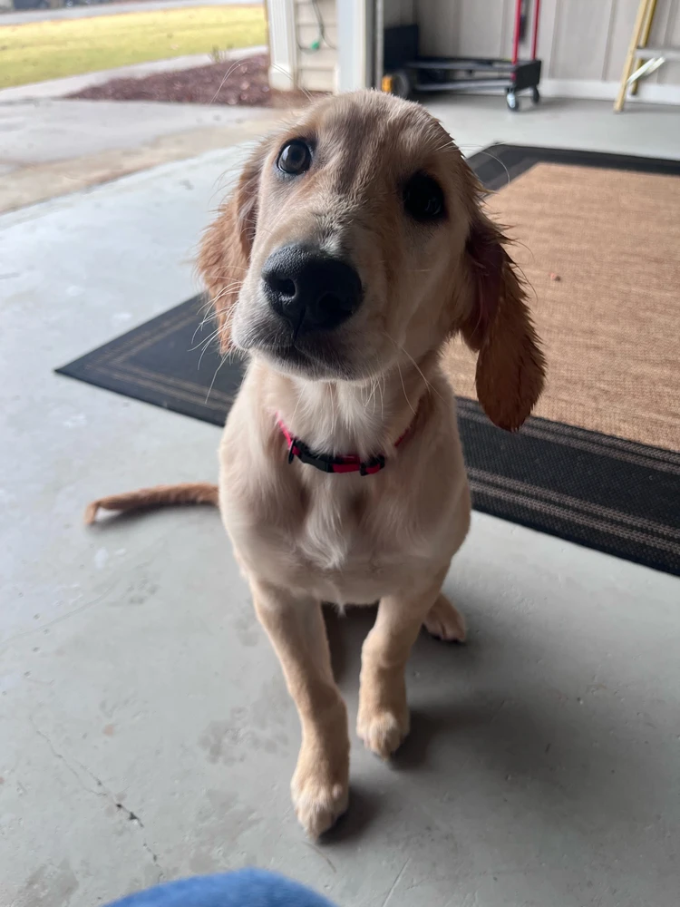 I’m pretty sure I was holding a treat to even get this pic 😂