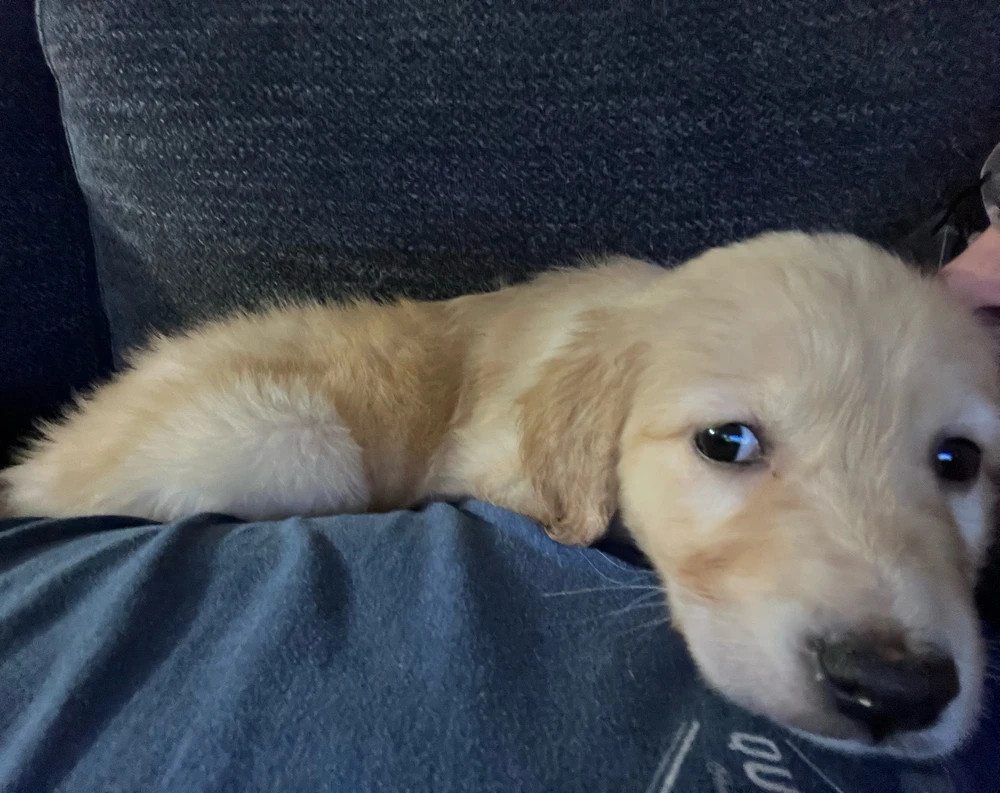 She’s never this calm anymore unless it’s bed time 😅